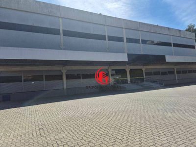 Depósito-Galpão, 2505 m² - Foto 4