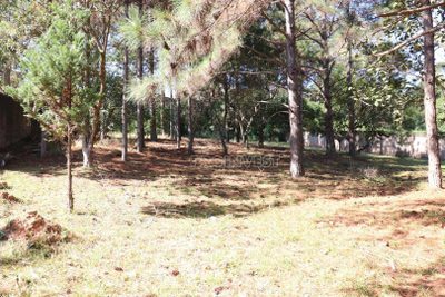 Loteamento e Condomínio, 1978 m² - Foto 4