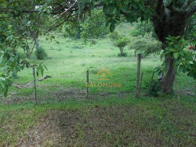 Sítio, 4 hectares - Foto 3