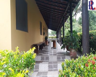 Fazenda - Foto 3