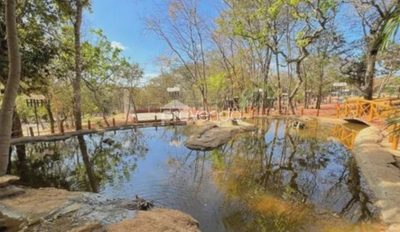 Terreno, 1395 m² - Foto 4