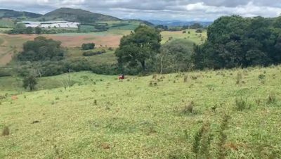 Chácara, 1 quarto, 19 hectares - Foto 2