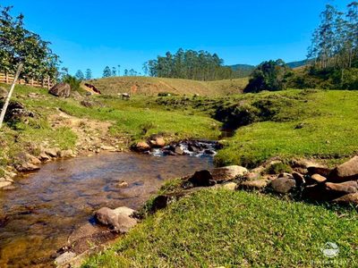 Terreno, 24 hectares - Foto 1