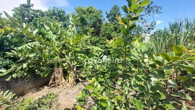 Terreno, 360 m² - Foto 5