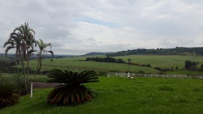 Fazenda, 216 hectares - Foto 1