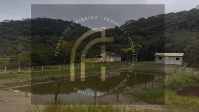 Chácara, 2 quartos, 4160 m² - Foto 2