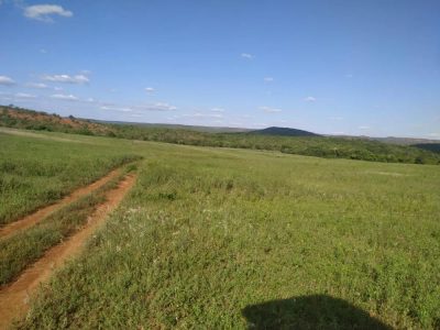 Fazenda - Foto 1