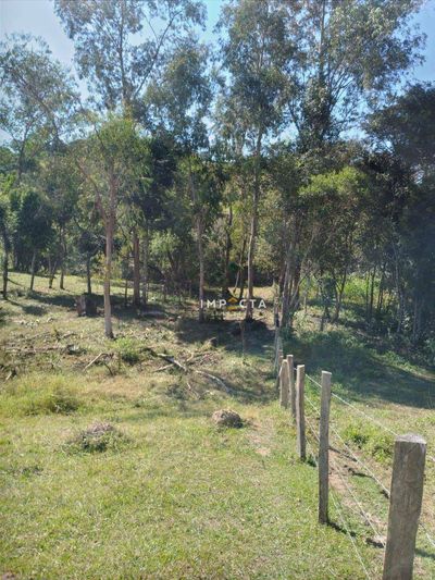 Terreno, 4500 m² - Foto 2