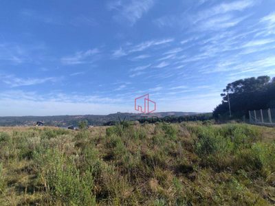 Terreno, 9292 m² - Foto 4