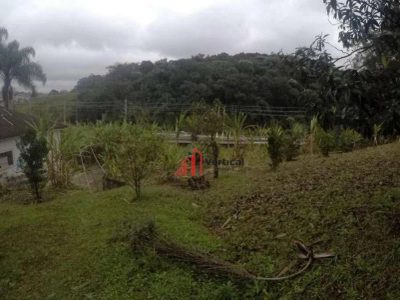 Terreno, 4 hectares - Foto 1