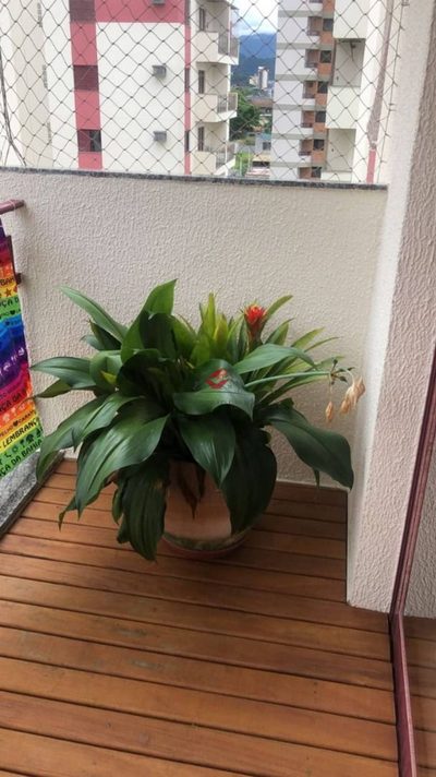 Apartamento, 2 quartos, 62 m² - Foto 4
