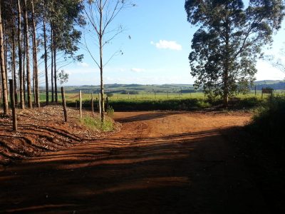 Sítio, 4 quartos - Foto 1