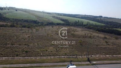 Terreno, 42 hectares - Foto 3