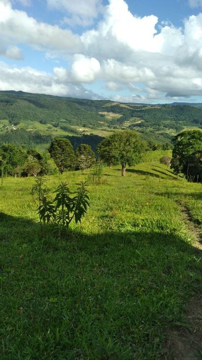 Sítio, 255 hectares - Foto 1