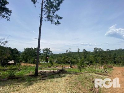 Chácara, 2 quartos, 2 hectares - Foto 5