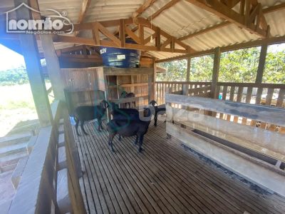 Casa, 14362 m² - Foto 4