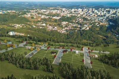 Terreno, 451 hectares - Foto 4