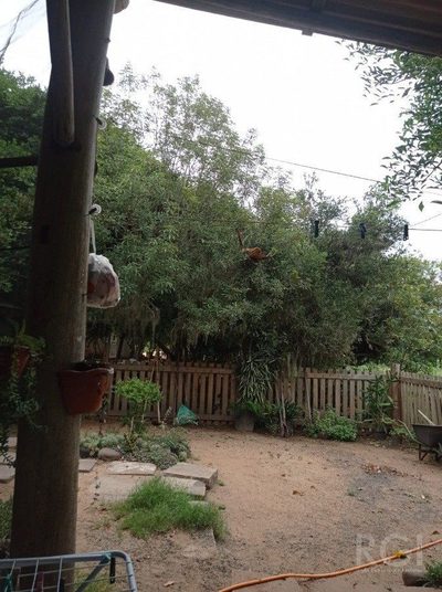 Sítio, 579999 m² - Foto 4