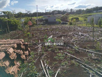 Fazenda, 1000 m² - Foto 4