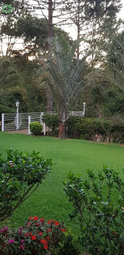 Casa, 3 quartos, 300 m² - Foto 2