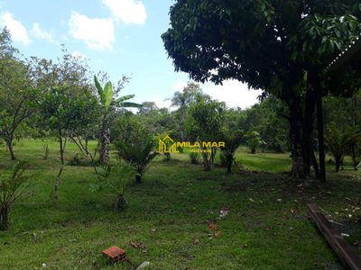 Chácara, 2 quartos, 8000 m² - Foto 2