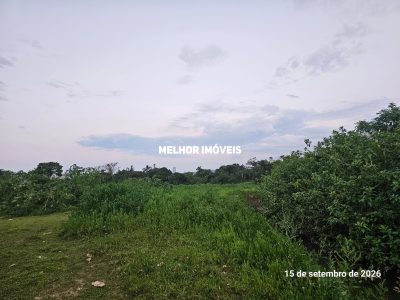 Terreno, 3 hectares - Foto 3