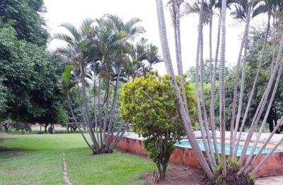 Chácara, 4 quartos, 1 hectares - Foto 1