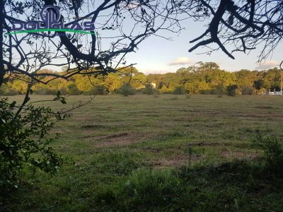 Terreno - Foto 4
