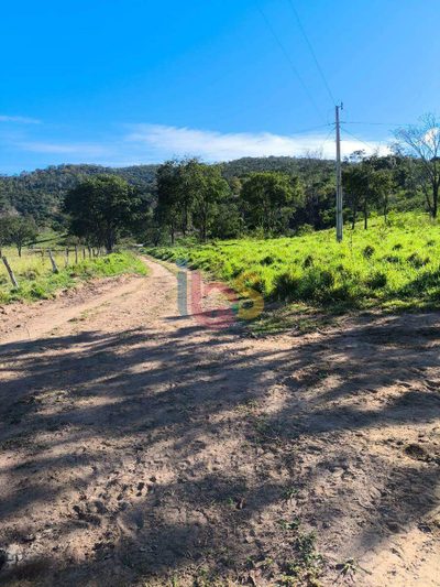 Sítio, 1409 hectares - Foto 4