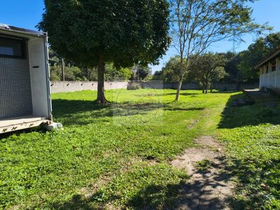 Terreno, 2750 m² - Foto 3