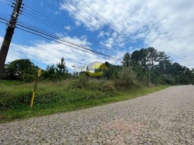 Terreno, 4973 m² - Foto 5