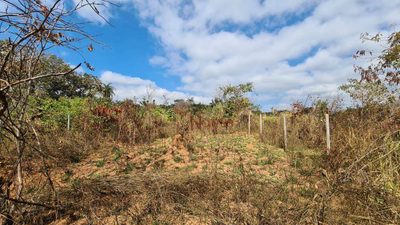Terreno, 300 m² - Foto 3
