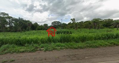 Terreno, 36 hectares - Foto 1