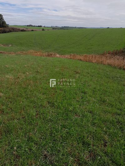 Sítio, 15 hectares - Foto 3
