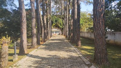 Sítio, 4 quartos, 7400 m² - Foto 2