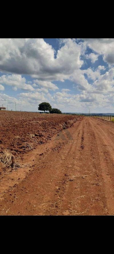 Terreno, 1000 m² - Foto 2