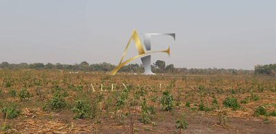Fazenda, 342 hectares - Foto 2