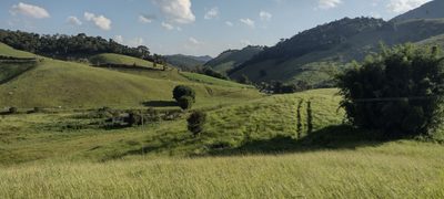 Fazenda, 73 hectares - Foto 4