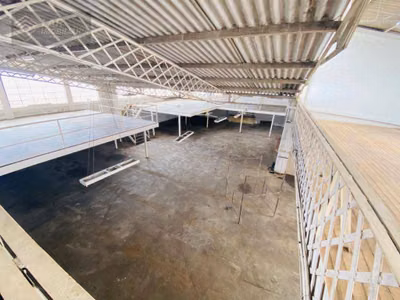 Depósito-Galpão, 539 m² - Foto 1