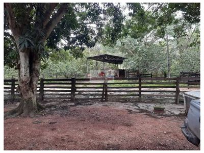 Fazenda, 4840 m² - Foto 4