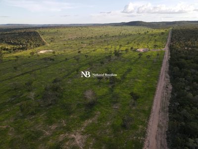 Fazenda, 7775 hectares - Foto 2