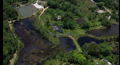 Terreno, 30 hectares - Foto 3