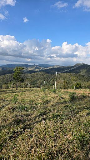 Terreno, 2 hectares - Foto 2