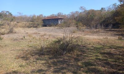 Chácara, 1 quarto, 99 hectares - Foto 5