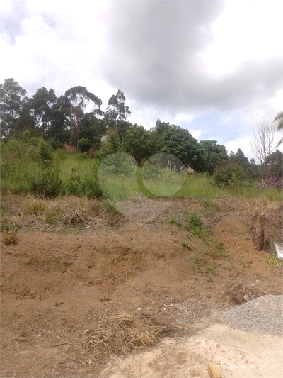 Terreno - Foto 5