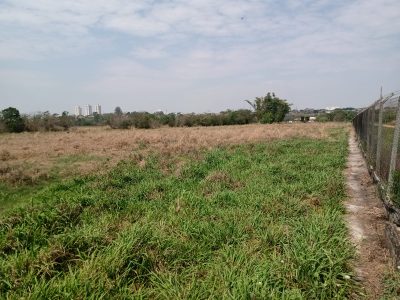 Sítio, 1 quarto, 2 hectares - Foto 4