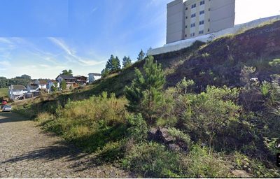 Terreno, 482 hectares - Foto 2