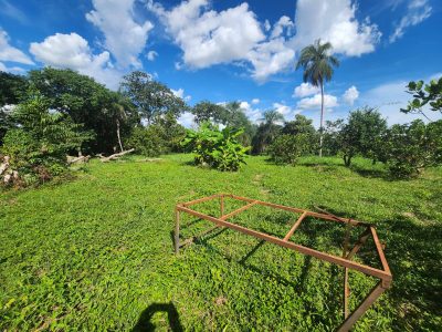 Chácara, 3 quartos, 3 hectares - Foto 4