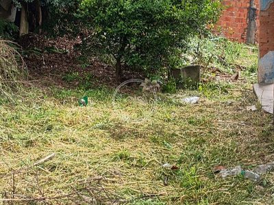 Terreno, 400 m² - Foto 5