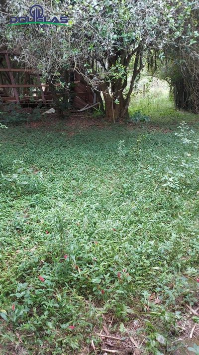 Terreno - Foto 5